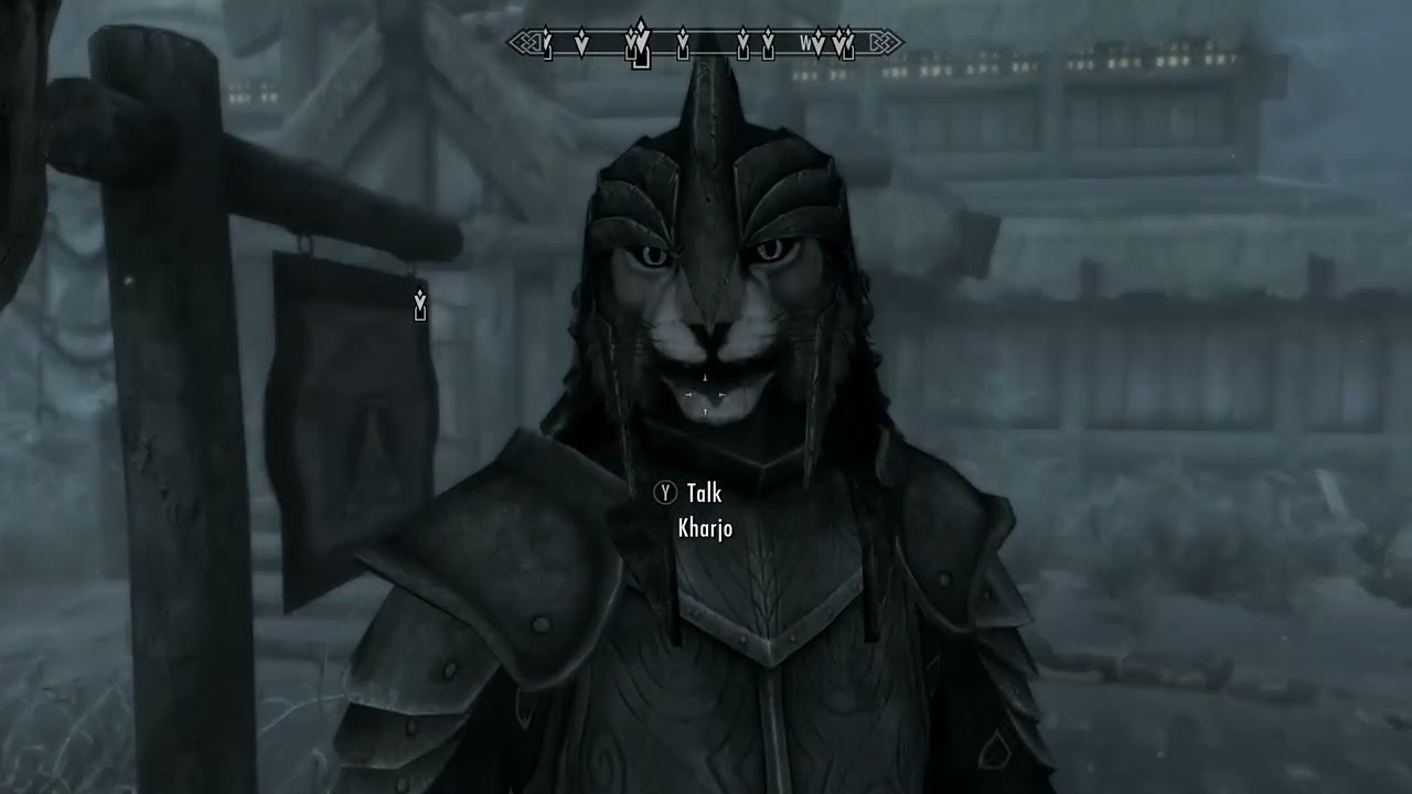 Cowardice Guards - Skyrim V