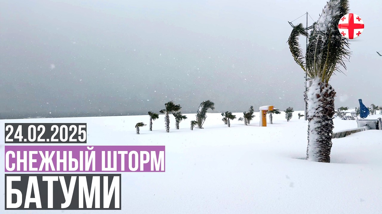 СИЛЬНЕЙШИЙ СНЕГОПАД В БАТУМИ 24.02.2025. КАКОЙ-ТО СНЕЖНЫЙ ШТОРМ - УНИКАЛЬНЫЕ КАДРЫ! ГРУЗИЯ