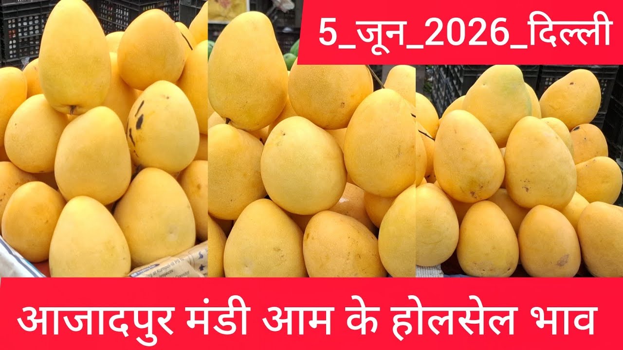 5 June 2026 दिल्ली 🥭 आम का भाव Azadpur Delhi Mandi Today Mango Market Price Aam Ka Aaj Ka Rate