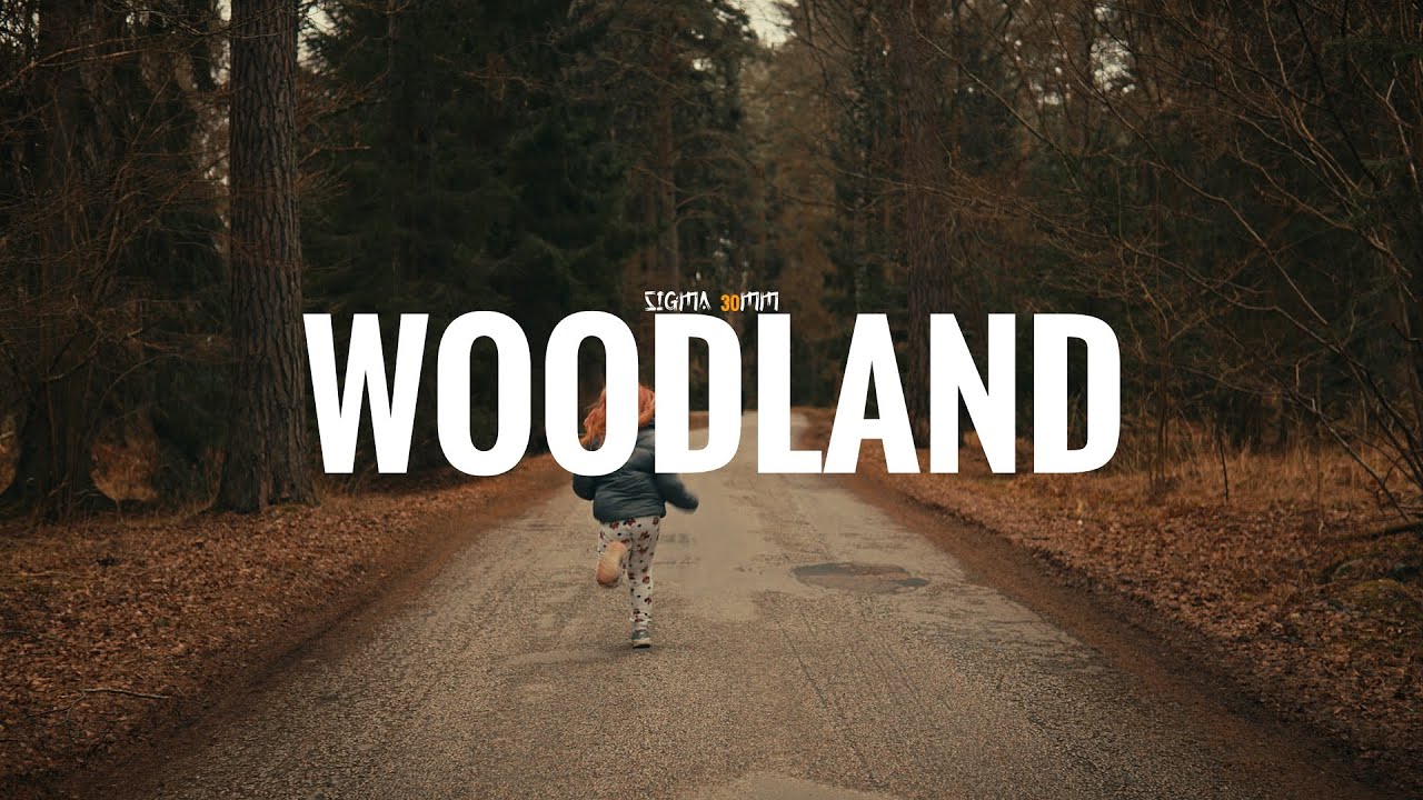 Sony A6700 With Sigma 30mm 1.4 I WOODLAND
