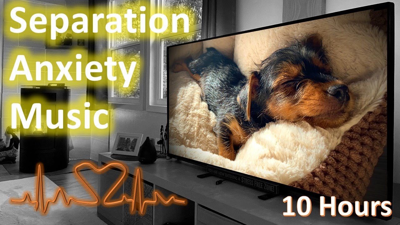 10 HOURS Deep Separation Anxiety Music for Dog Relaxation | Puppy sleeping with Heartbeat | NEW 2021