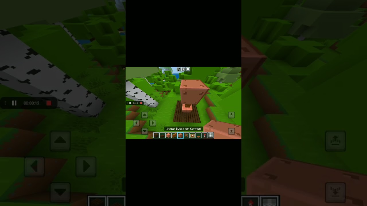 En tekmovalni Minecraft build hack!!