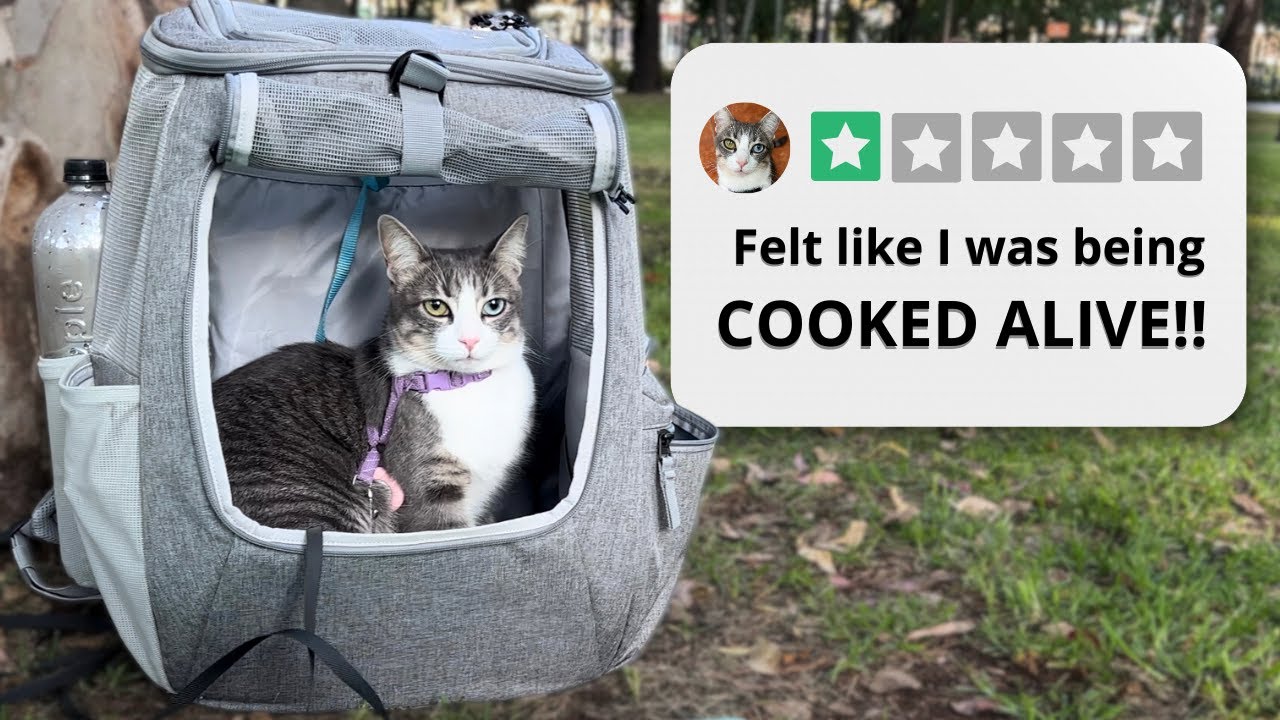 Avoid THIS Cat Travel Bag! (Try These Instead ☺️)