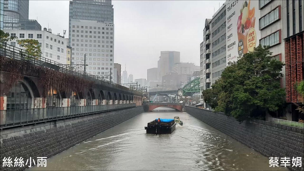 蔡幸娟 - 絲絲小雨