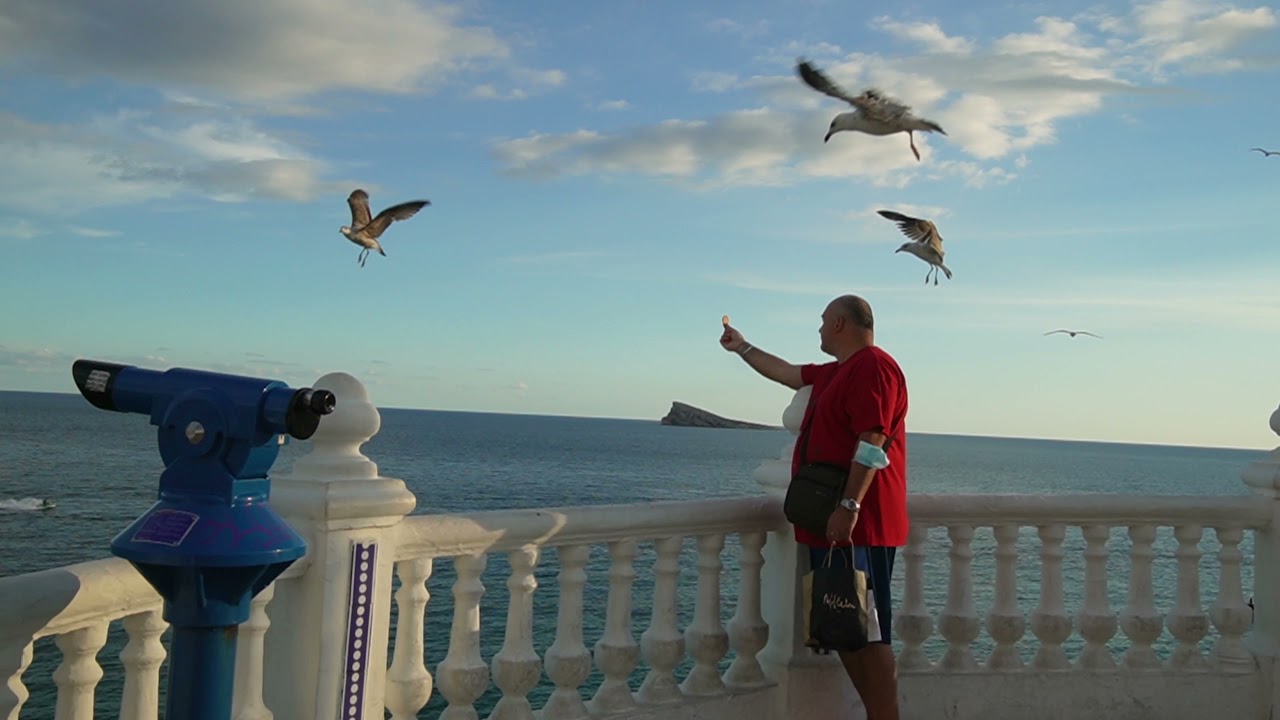 Benidorm - Spain | Cinematic Travel Video | Sony ZV E10