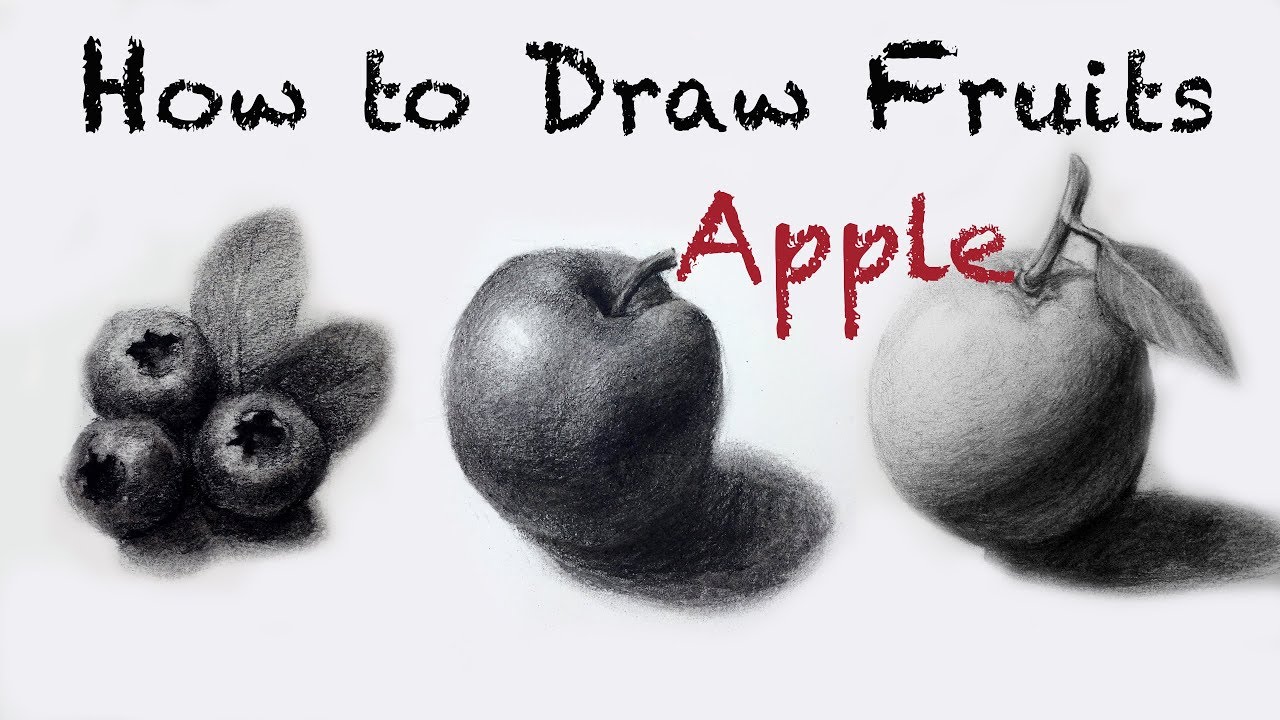 How to Draw Fruit: Apple with Charcoal Pencil
