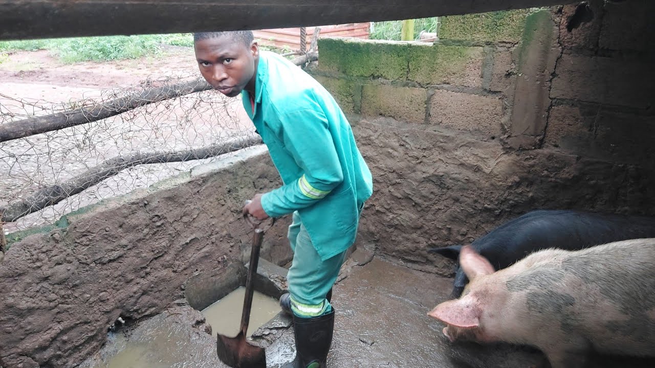 Assim é a vida em Moçambique |Aivências Africanas🇲🇿|