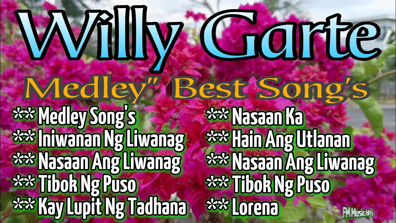 Willy Garte, Best Song's Medley, Cover By: FM Music Hits