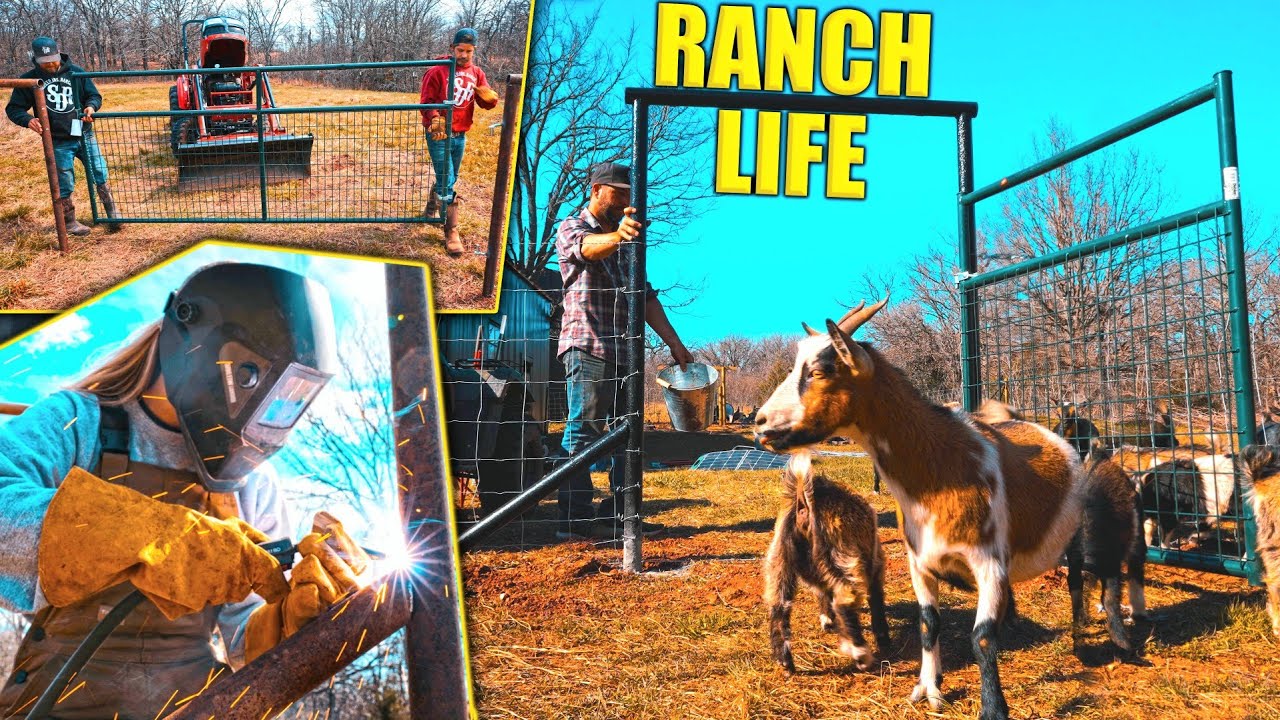 Ranch WOMAN Welds New Goat Pasture! Start To FINISH / Shootdang Ranch