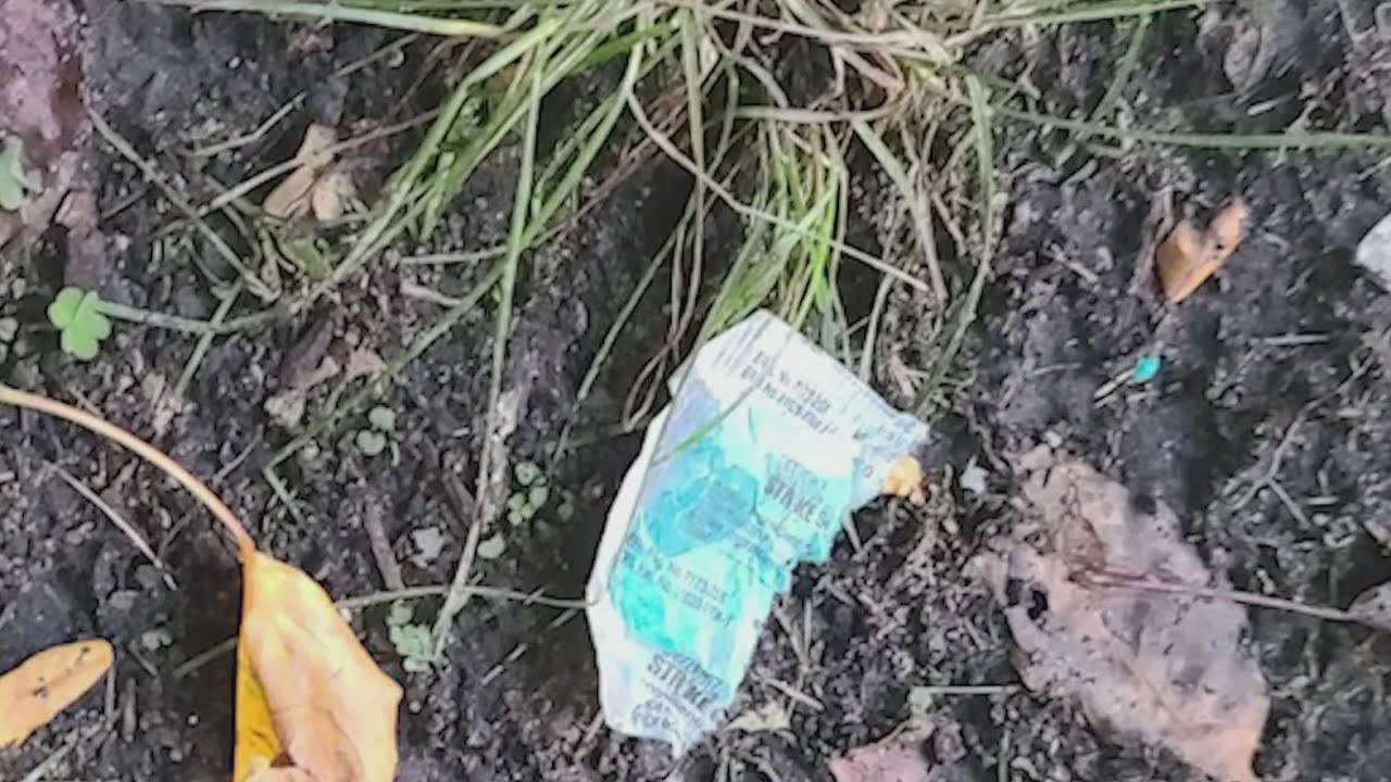 Rogers Park residents worried about widespread rat poison found in neighborhood
