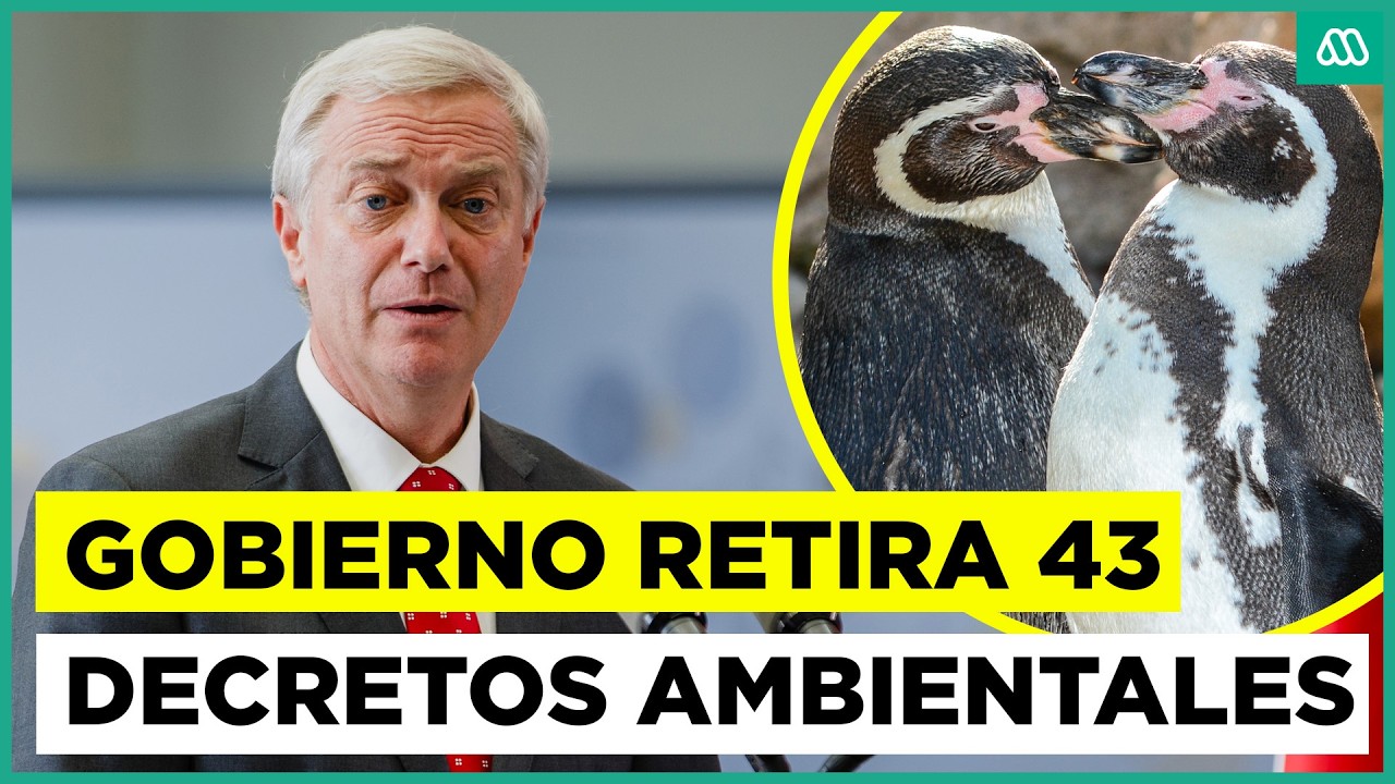 Gobierno de José Antonio Kast retiró 43 decretos ambientales