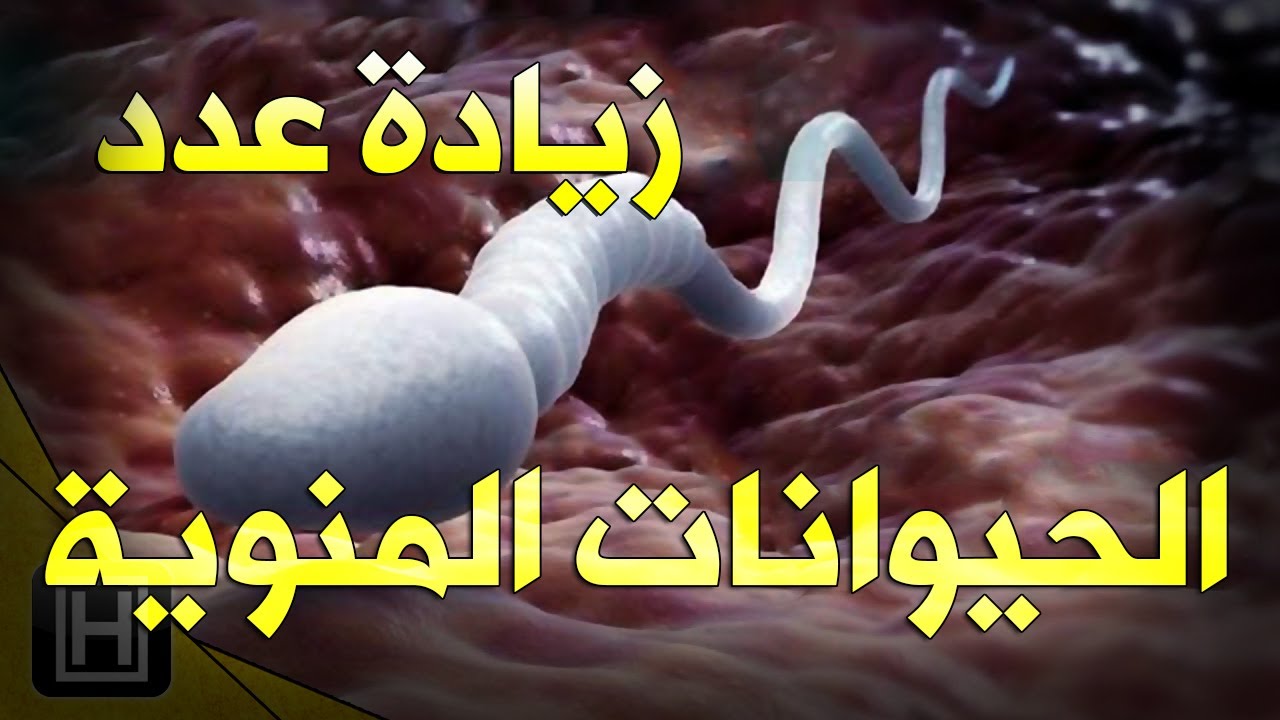 زيادة عدد الحيوانات المنويه وتقويتها بأفضل تسعة أطعمة