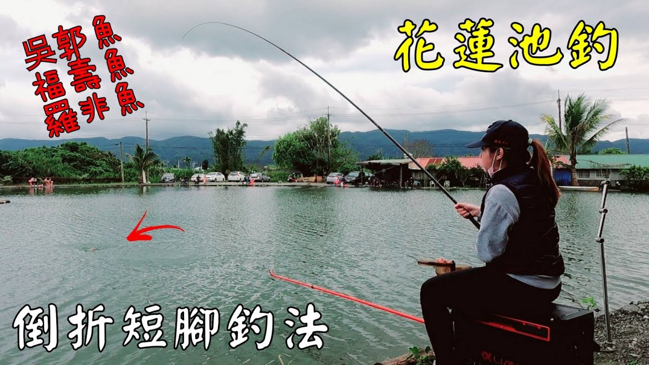 花蓮池釣倒折短腳!福壽魚吳郭魚!輕鬆玩^^Taiwan Hualien fishing