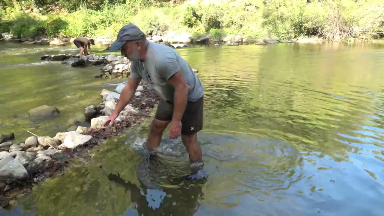démontage barrages Dourbie et Tarn movie