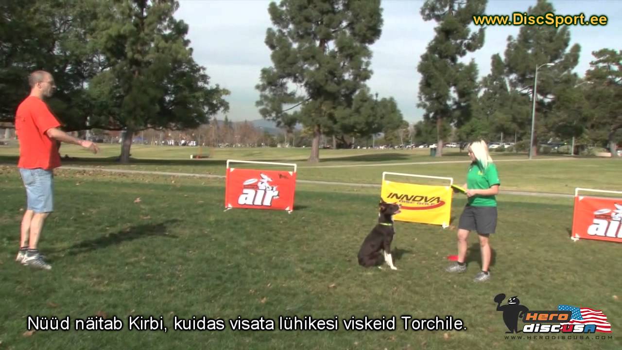 Kuidas alustada koera treeningut frisbeega.