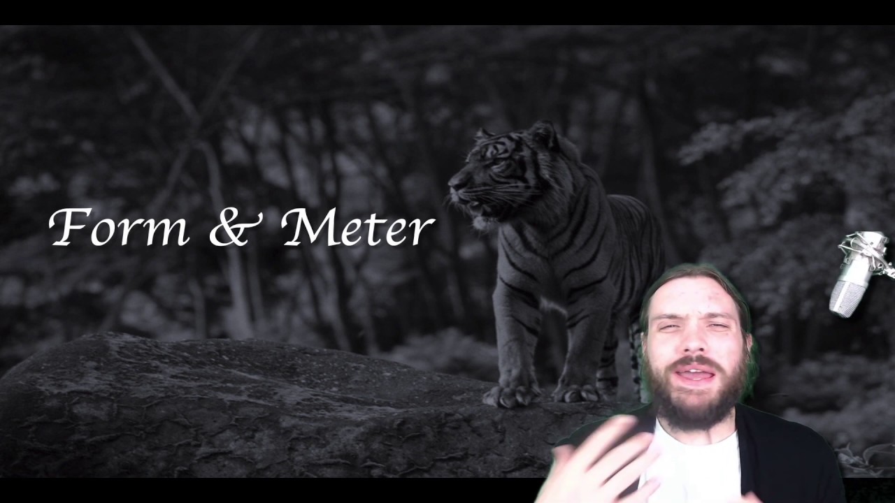 William Blake - The Tyger - Rhyme scheme, form and meter EXPLAINED!
