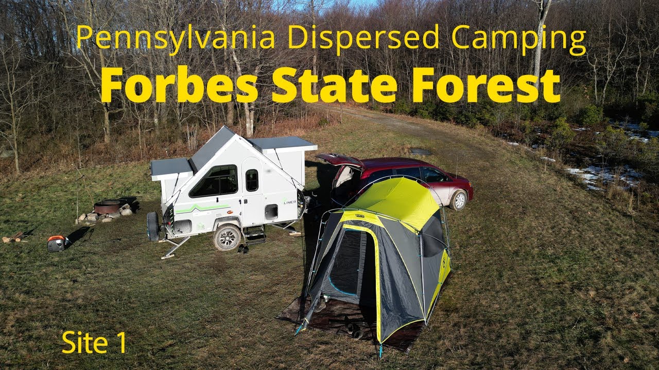PA Camping | Forbes State Forest - Motorized Campsite 1