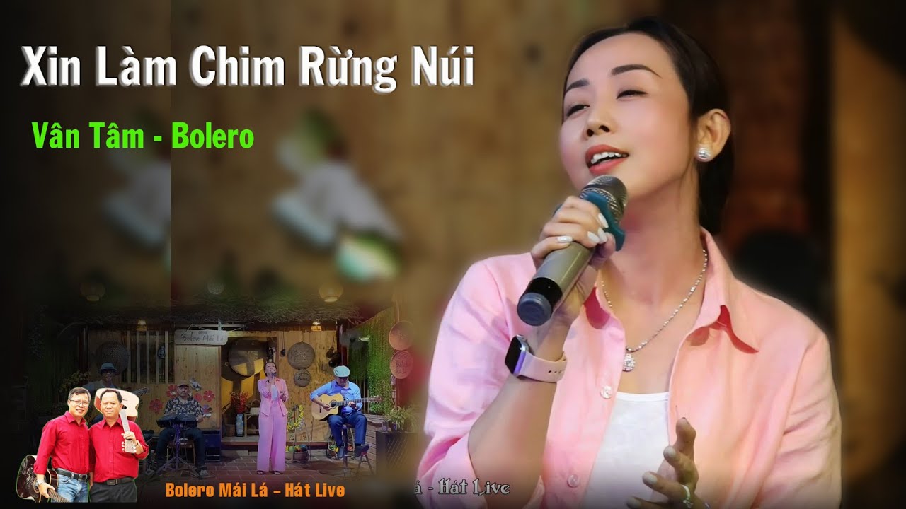Xin Làm Chim Rừng Núi | Vân Tâm Bolero Mái Lá - Hát Live