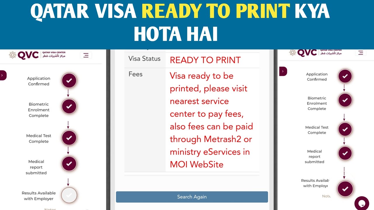 Qatar Visa Ready To Print Full Details