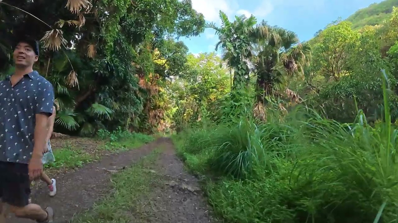 Moanaloa Valley Afternoon Walk, New Camera   4K