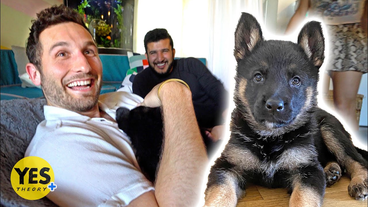Surprising Best Friend with a New Puppy!!