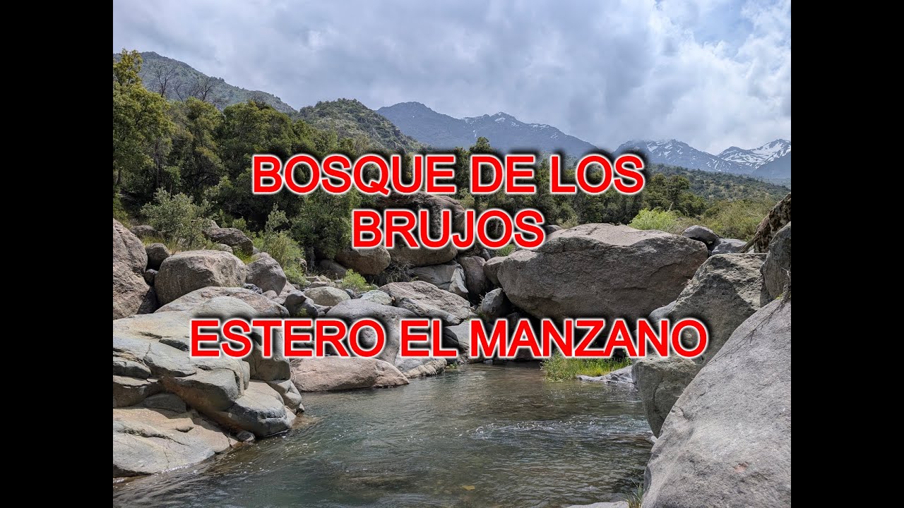 ESTERO EL MANZANO Y BOSQUE DE LOS BRUJOS - CAJON DEL MAIPO, CHILE 4K60