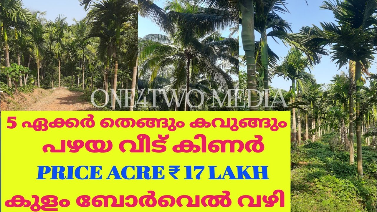 1500 കാസറഗോടെൻ കവുങ്ങ് 50 തെങ്ങ് വെള്ളം വഴി 5 ഏക്കർ വിൽപ്പനക്ക് 