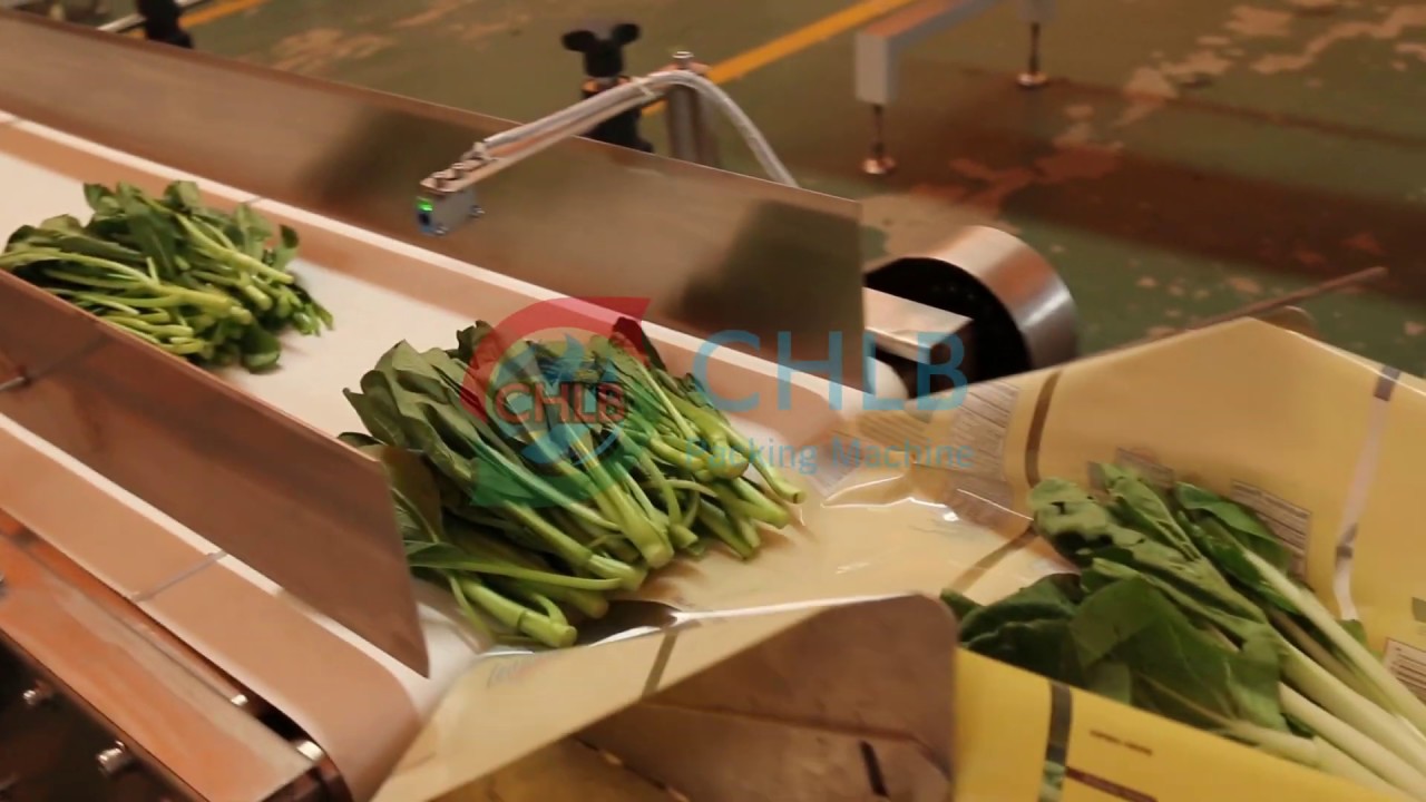 [CHLB machine] fresh vegetables, carrots or frozen food packing machine with flexible length