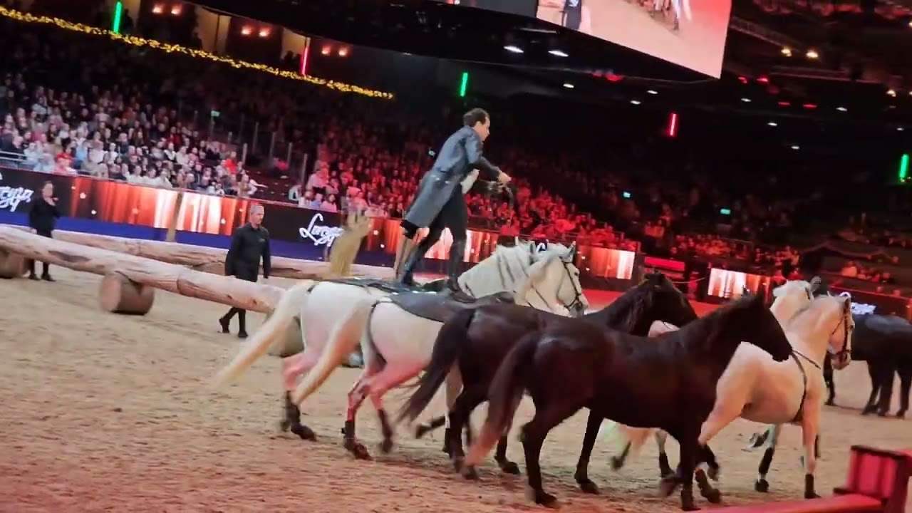 241222 Lorenzo   in London Internationl Horse Show