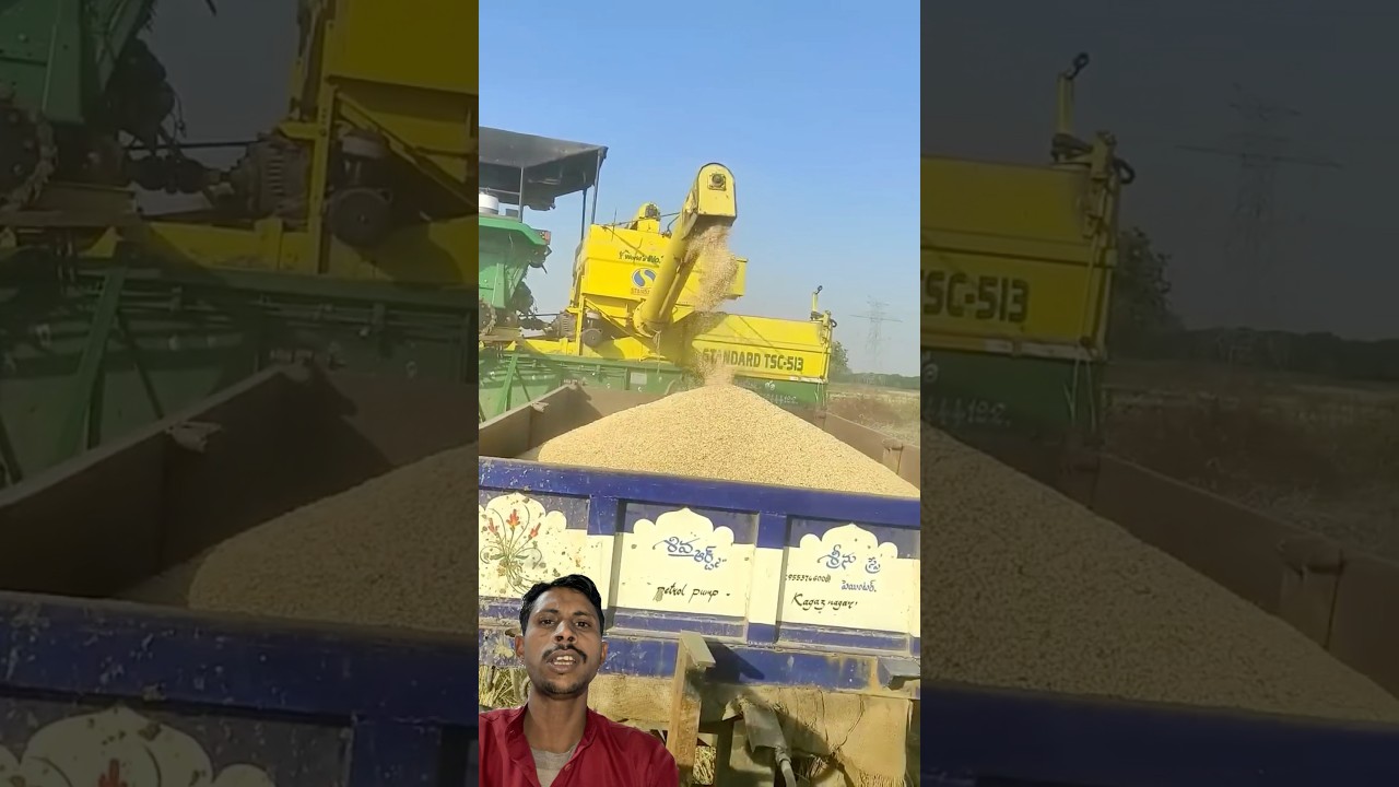 harvester John Deere machine dhaan ki Nikasi Karti hui 