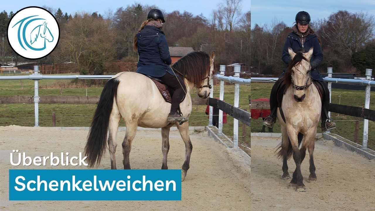 Was passiert im Schenkelweichen?