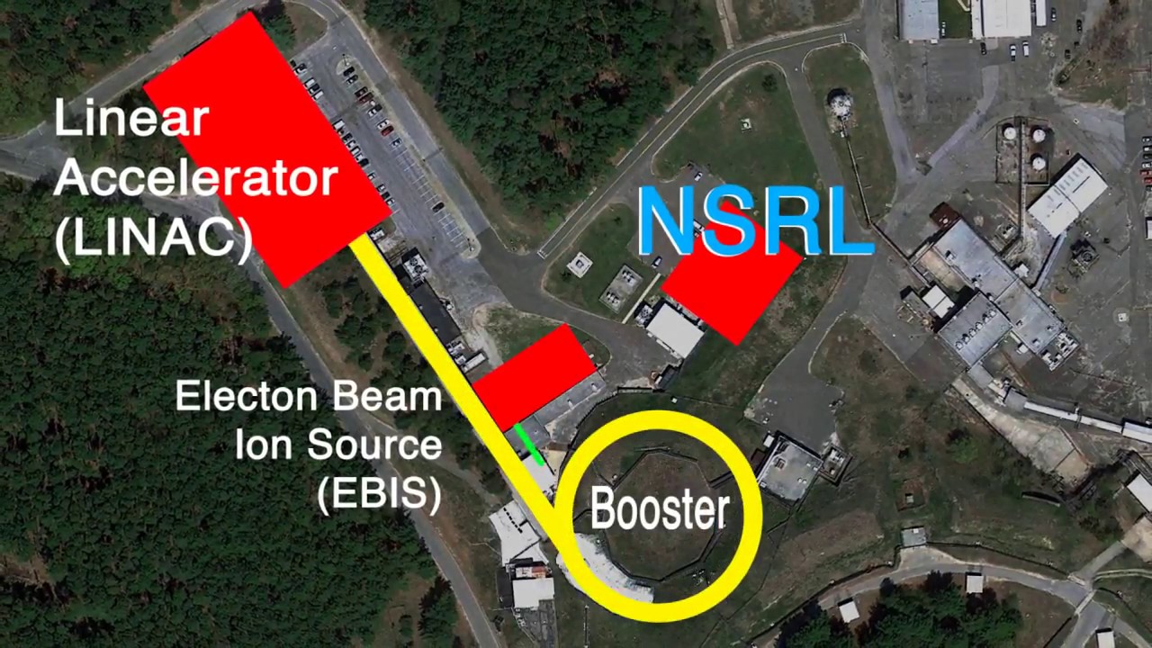How NASA uses BNL Heavy Ion Accelerator Facility to Study Space Radiation