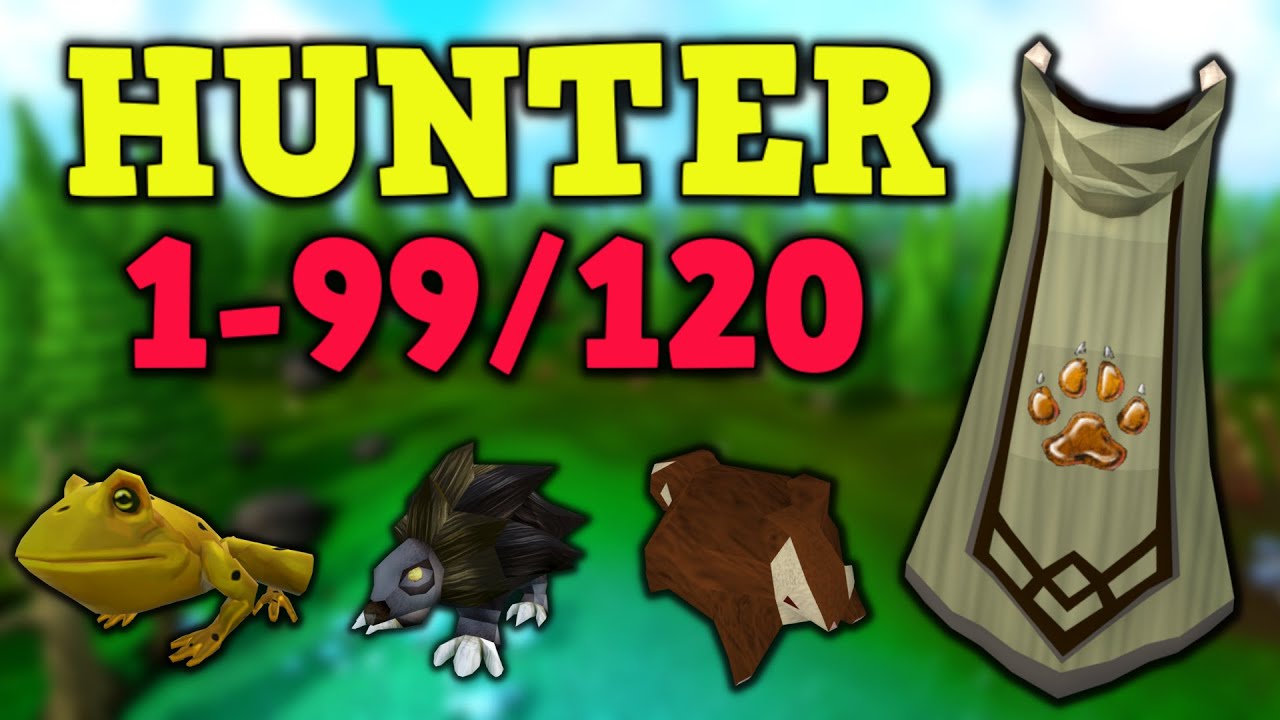1-99/120 Hunter Guide Updated 2022- AFK & Fastest Methods - Runescape 3
