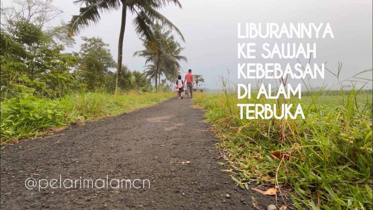Liburannya ke sawah, kebebasan di alam terbuka #sawah #sawahpedesaan #alampedesaan #liburan #hiburan