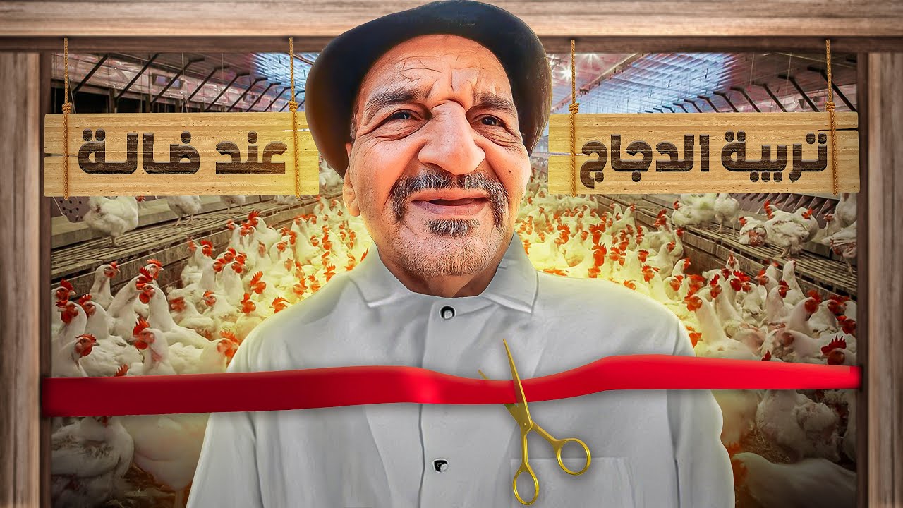 لوليد دار مشروع تربية الدجاج .. كيفاش جاتو هاد الفكرة؟