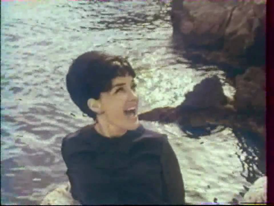 RIKA ZARAÏ HAVA NAGUILA EN STEREO