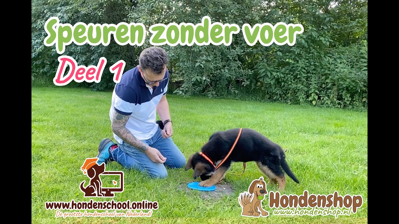 Online cursus speuren hond zonder voer op het spoor (deel 1)