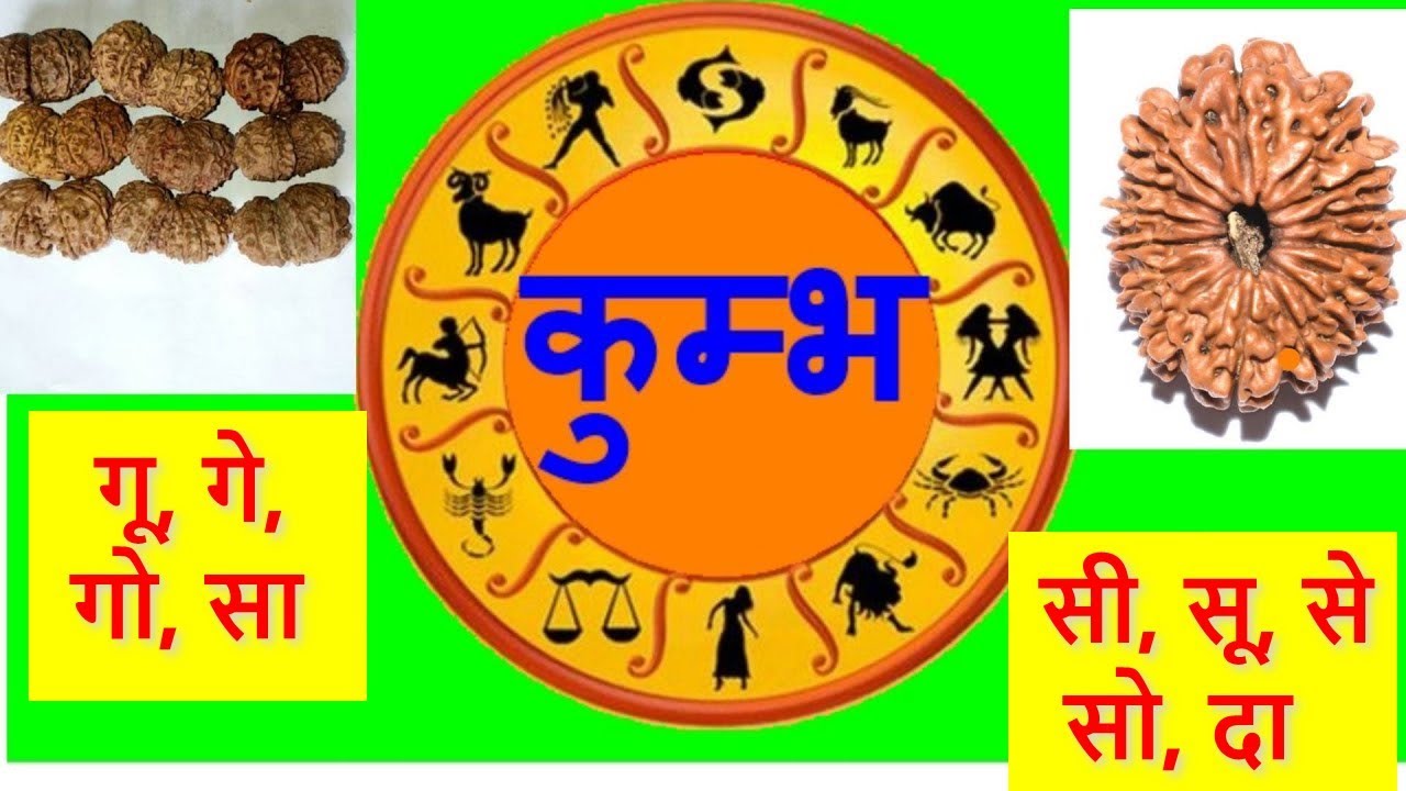 कुम्भ राशि । रुद्राक्ष । कौन  सर्वोत्तम । धन । Yash | ऐश्वर्य । सम्पन्नता । Kumbha Rashi । Rudraksha