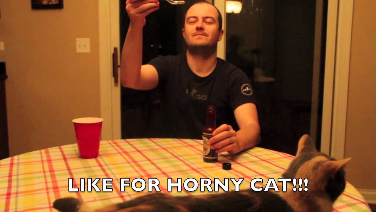 INSANITY SAUCE + HORNY CAT!