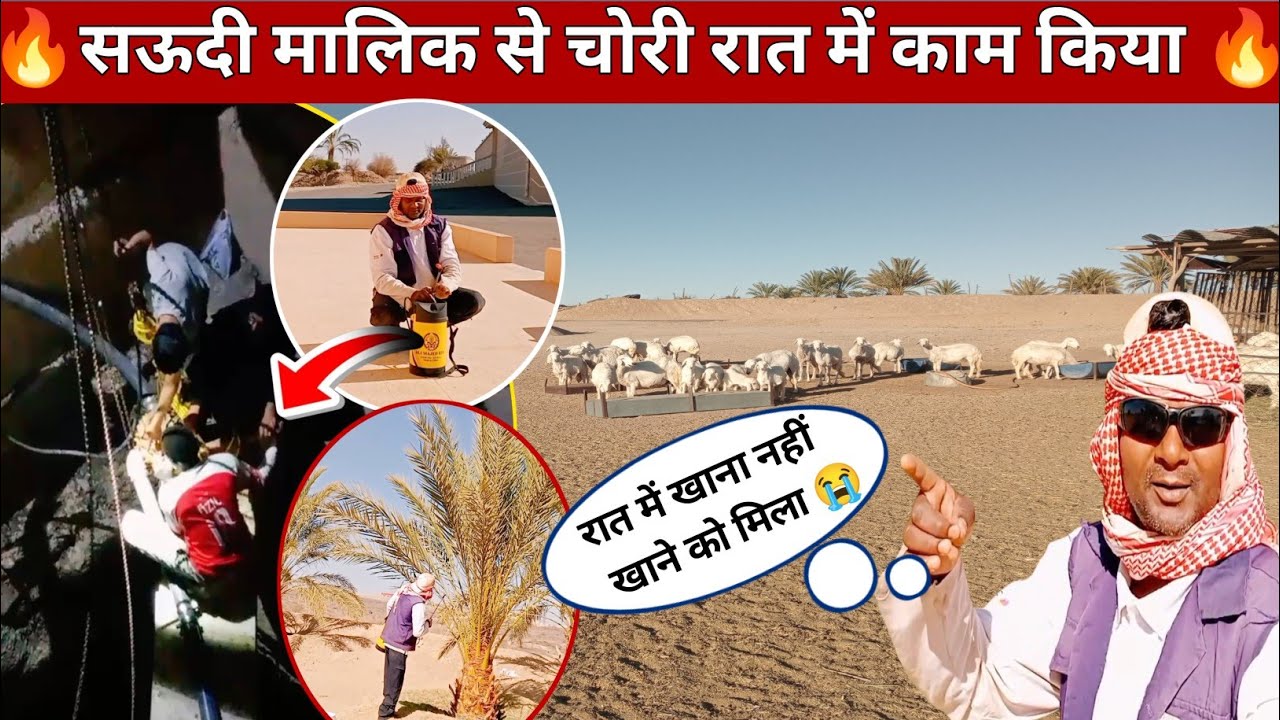 सऊदी मालिक से छुप्पके रात में काम किया | bakri majra worker life | daily Vlogs @RsgyaVlogs