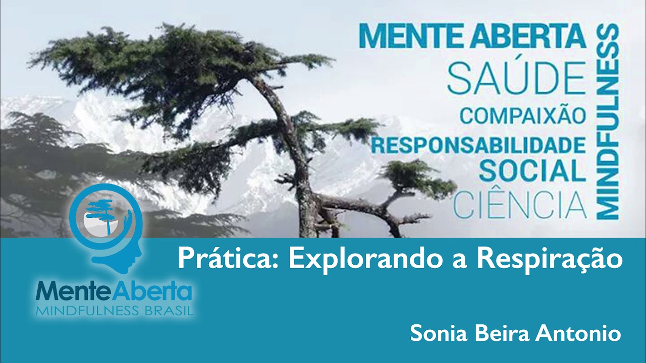 Mindfulness e Respiração - Prática Guiada com Sonia Beira Antonio
