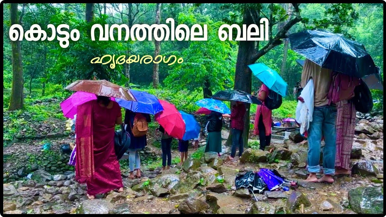 വനത്തിന് നടുവിലെ മഴയുടെ തിരുനെല്ലി ക്ഷേത്രത്തിലേക്ക് | Thirunelli Temple | കർക്കിടക വാവുബലി