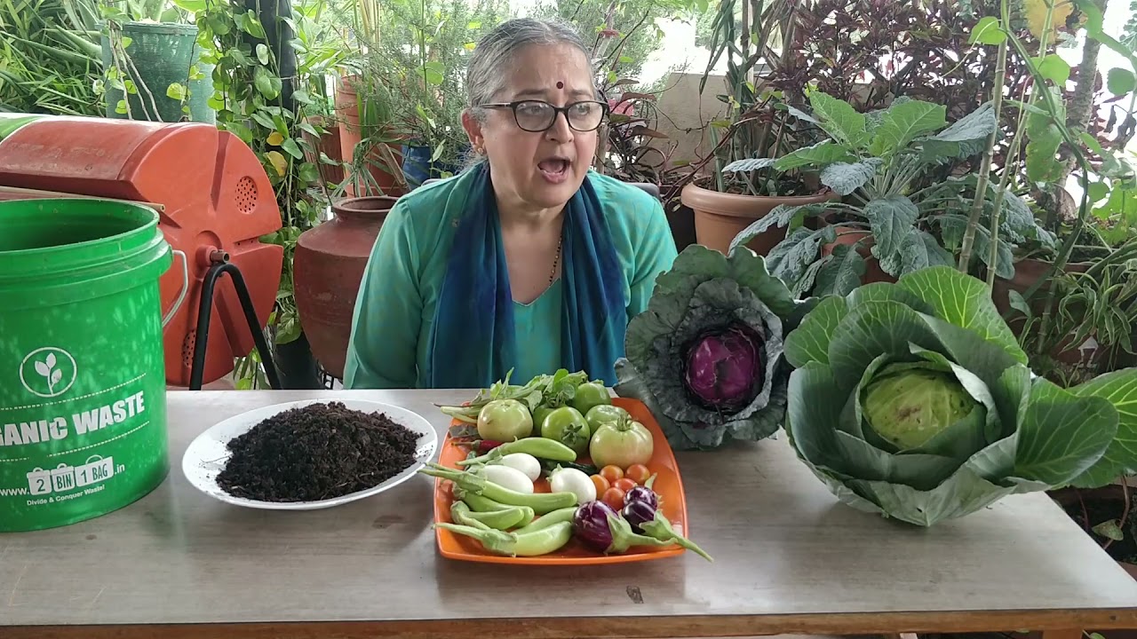Sustainable living starts in the kitchen | Vani Murthy | TEDxMVJCE