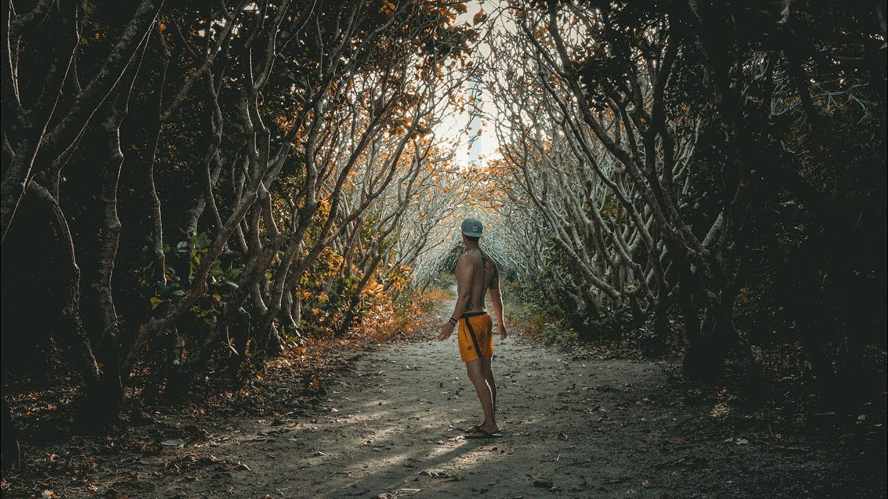 Into the Wild // Antique Philippines