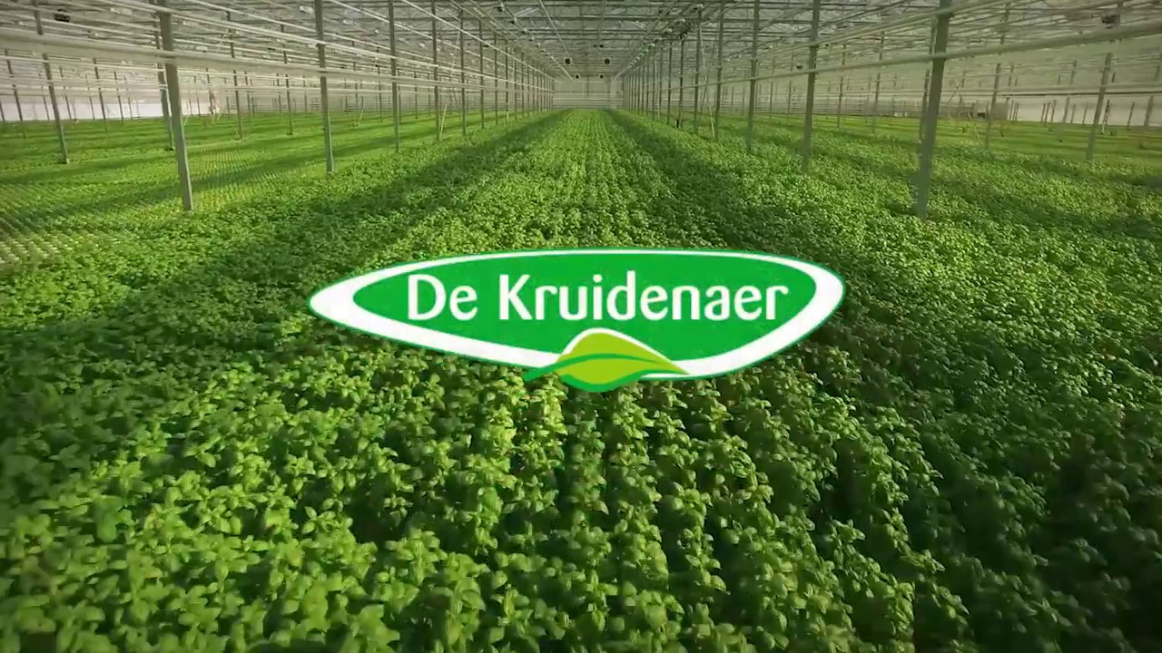 Bedrijfsvideo De Kruidenaer 2016
