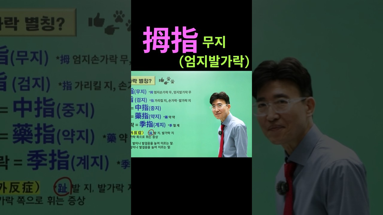 拇指 무지 엄지손가락.발가락을 다 나타내는 말!