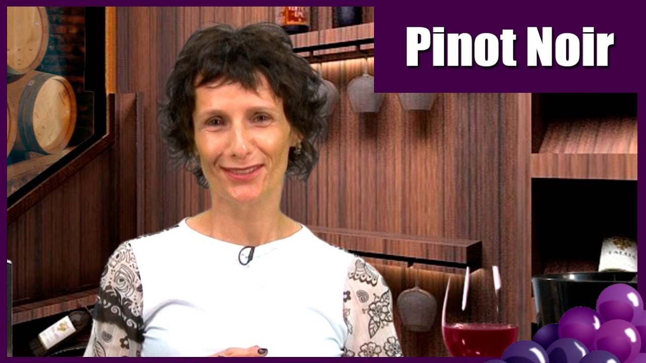 TV UVA - UVA E VINHO - PINOT NOIR