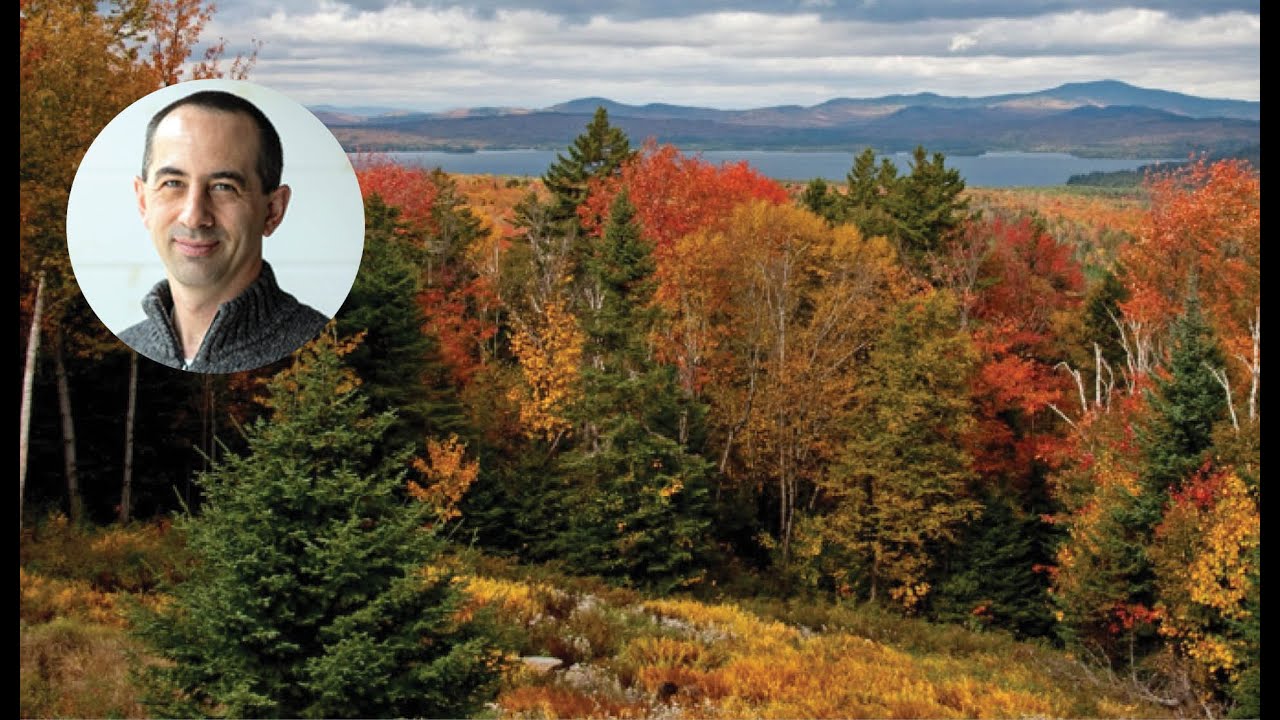 Sustainable Forests: Tools, Technology, and Science for Tomorrow&rsquo;s Forest