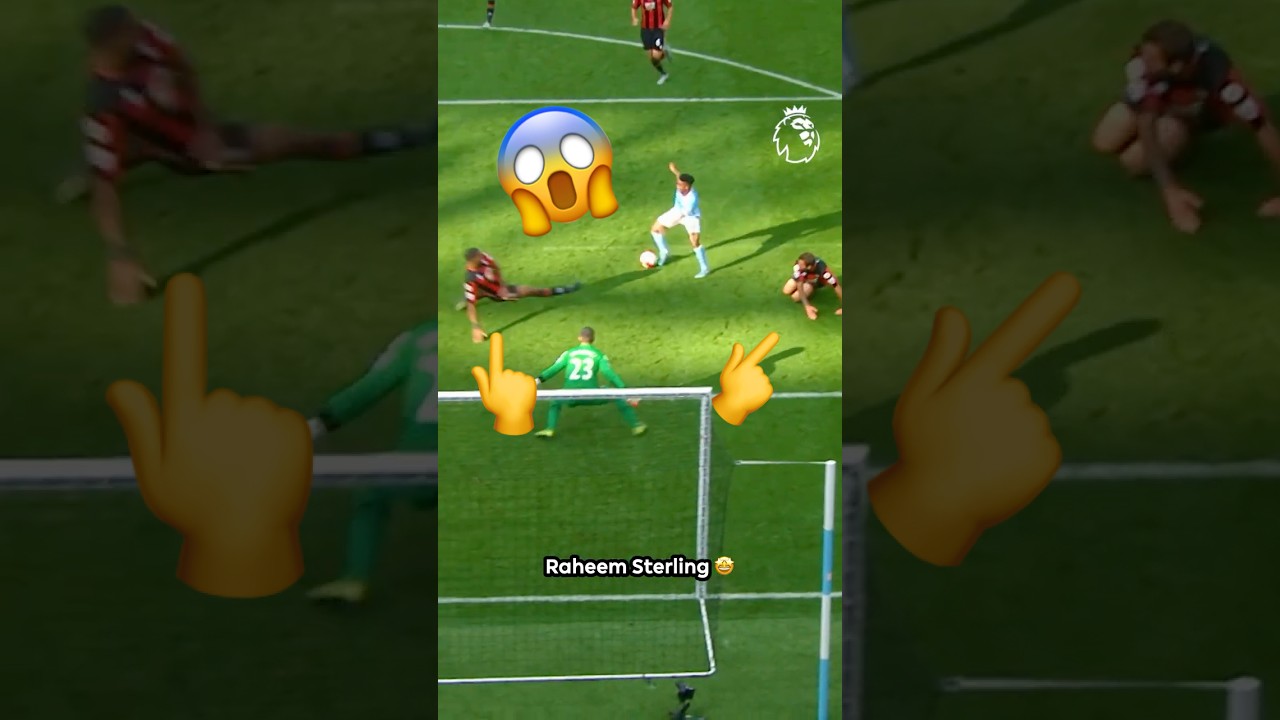 Sterling FLOORS Three Defenders 🫣