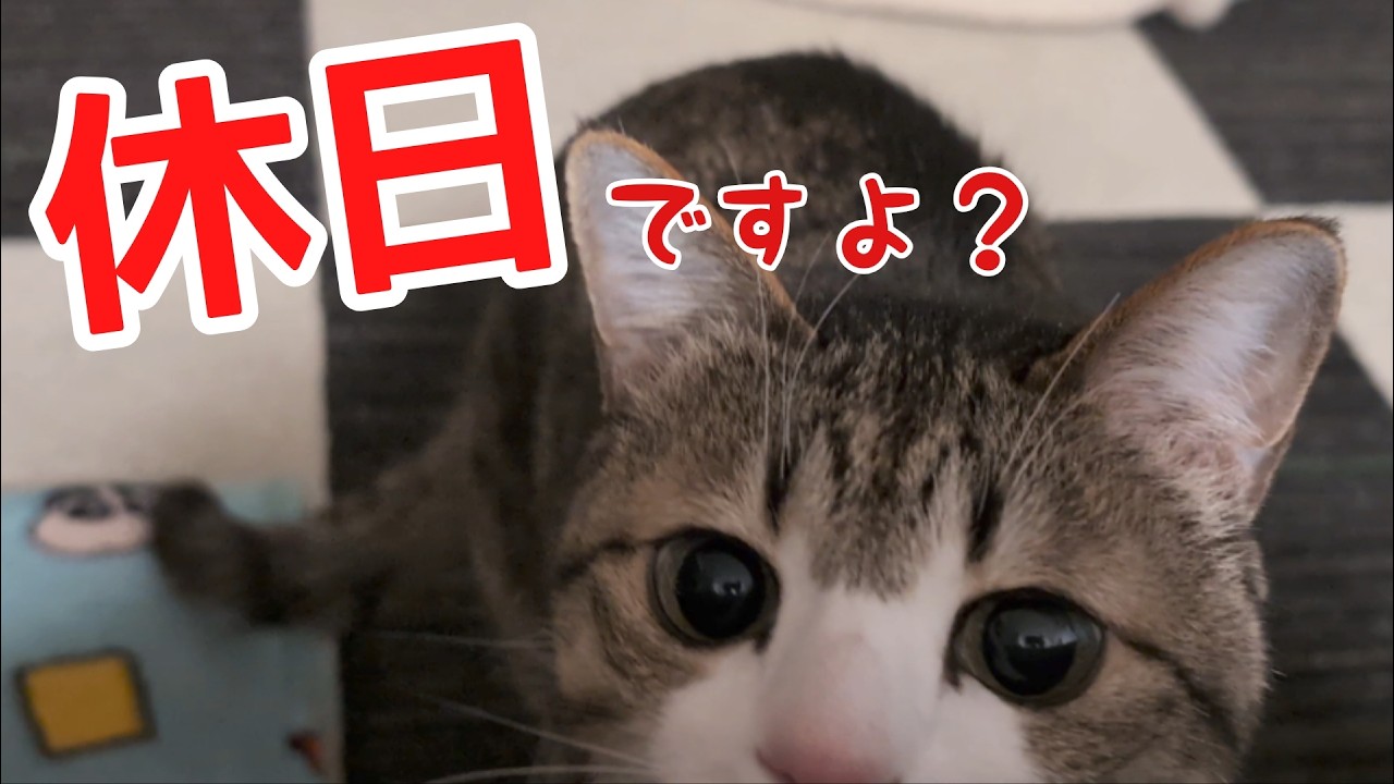 休みの日くらいゆっくり寝てください。vol.1534